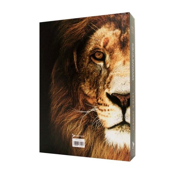 Foto Bíblia Sagrada Letra Jumbo RC Harpa E Corinhos Grande Capa Dura Leão Dourado