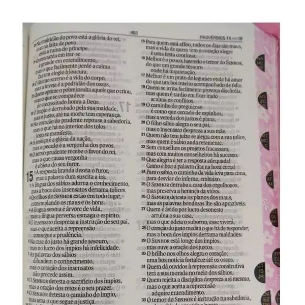 Foto Bíblia NAA Média Tricolor Com Ziper Rosa Rygu
