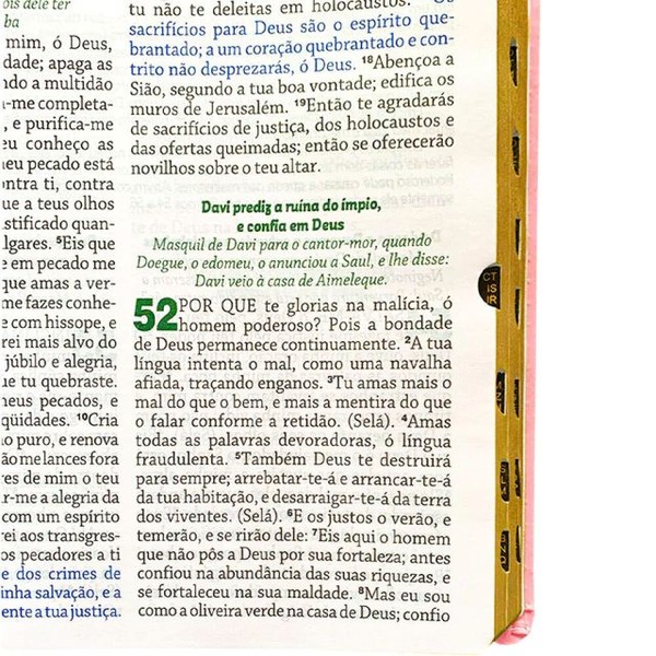 Foto Bíblia De Estudo Da Mulher De Deus RC Letra Grande Com Harpa Pentecostal Rosa