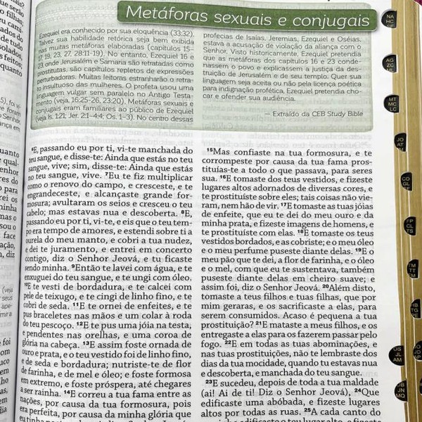 Foto Bíblia De Estudo Da Mulher De Deus RC Letra Grande Com Harpa Pentecostal Rosa e Pink