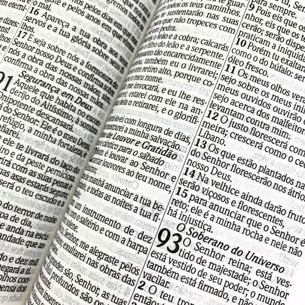 Foto Bíblia Sagrada Letra Hipergigante RC Harpa E Corinhos Média Capa Dura Lion Colors