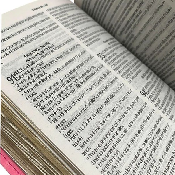 Foto Bíblia Sagrada Rc Slim - Luxo Bicolor Vermelho E Rosa