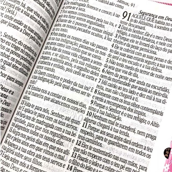 Foto Bíblia Sagrada Letra Jumbo RC Harpa Média Zíper Rosa Claro