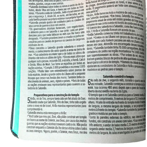 Foto Bíblia Sagrada NVT Plena Primavera Duotone - Capa Luxo Tecido Verde e Cinza