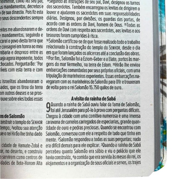 Foto Bíblia Sagrada NVT Plena Primavera Duotone - Capa Luxo Tecido Café