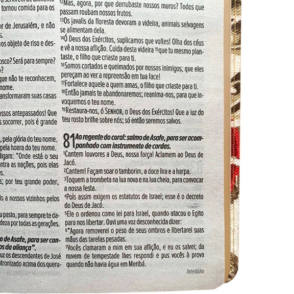 Foto Bíblia Sagrada NVT Plena Primavera Duotone - Capa Luxo Tecido Marrom Claro