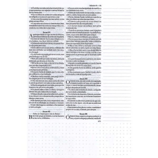 Foto Bíblia King James 1611 Com Espaço Para Anotações Flores Aquarela