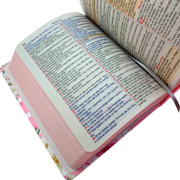 Foto Bíblia Sagrada NVA | Textos Coloridos - Capa Dura Menina Rosa