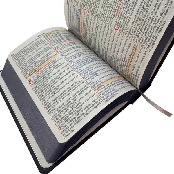 Foto Bíblia Sagrada NVA | Textos Coloridos - Capa Dura Leão Reis Dos Reis