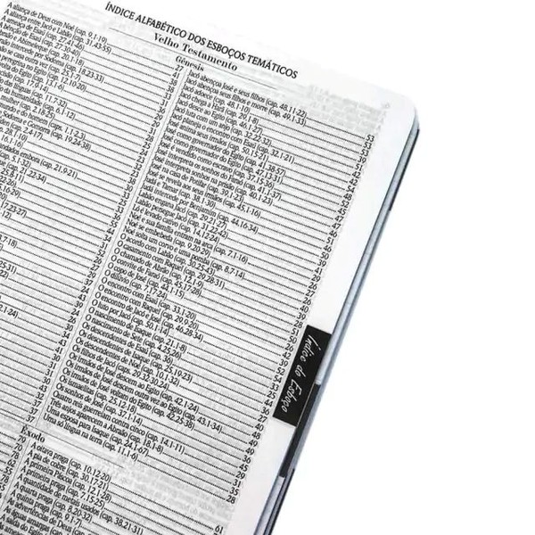 Foto Bíblia Sagrada Com Espaço Para Anotações Harpa Avivada E Corinhos Leão Aquarela