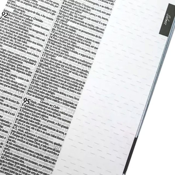 Foto Bíblia Sagrada Com Espaço Para Anotações Harpa Avivada E Corinhos Leão Aquarela