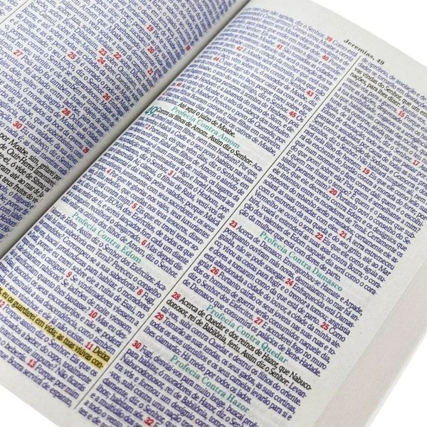 Foto Bíblia Evangelismo ARC - Capa Leão Rei Dos Reis - Edição De Bolso
