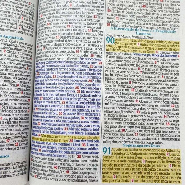 Foto Bíblia Evangelismo ARC - Capa Leão Rei Dos Reis - Edição De Bolso