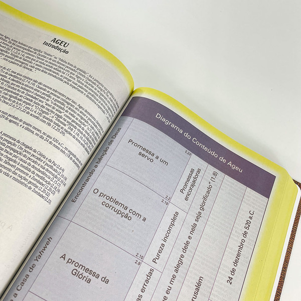 Foto Bíblia de Estudo King James Atualizada | Hipergigante | Full Collor | Capa Vintage