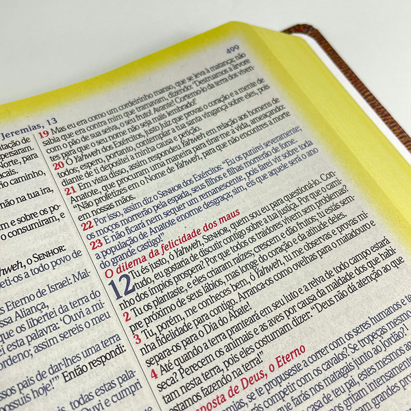Foto Bíblia de Estudo King James Atualizada | Hipergigante | Full Collor | Capa Vintage