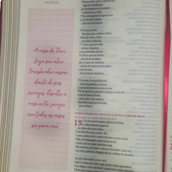 Foto Bíblia NAA Com Espaço Para Anotações - Coleção Mulheres Sopro Divino