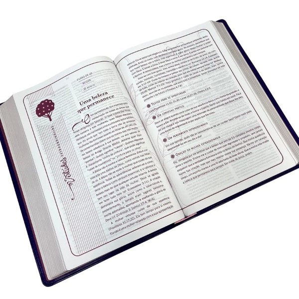 Foto Bíblia Mulher Extraordinária | Hernandes Dias Lopes | Capa Preta