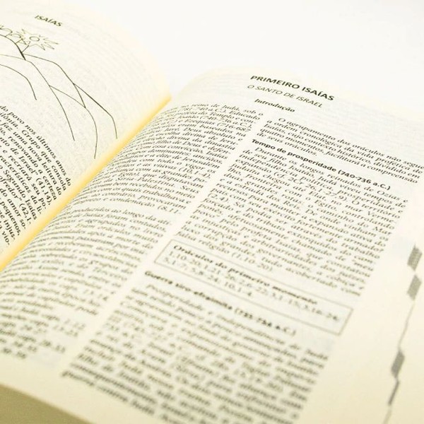 Foto Bíblia Pastoral De Bolso - Capa Cristal