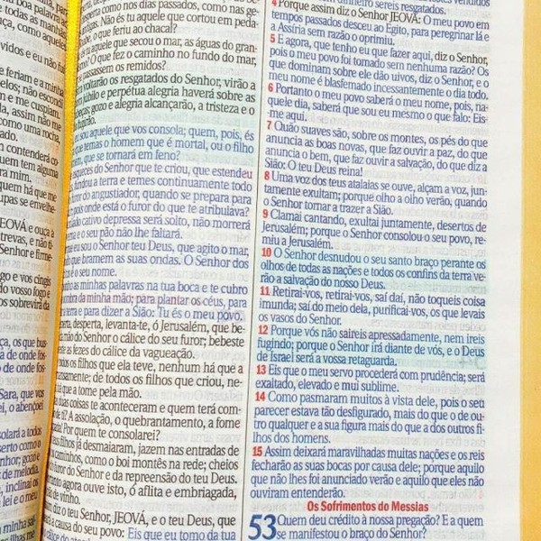 Foto Bíblia ARC Bolsa Com Alça Dourada Brilhante