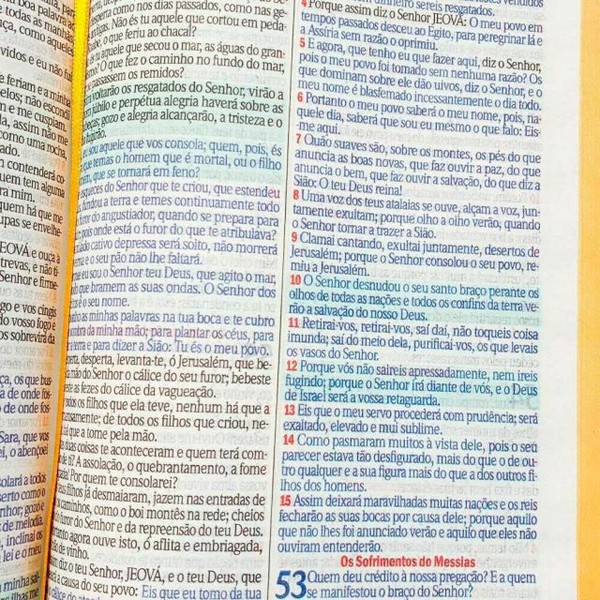 Foto Bíblia ARC Bolsa Com Alça Croco Roxo