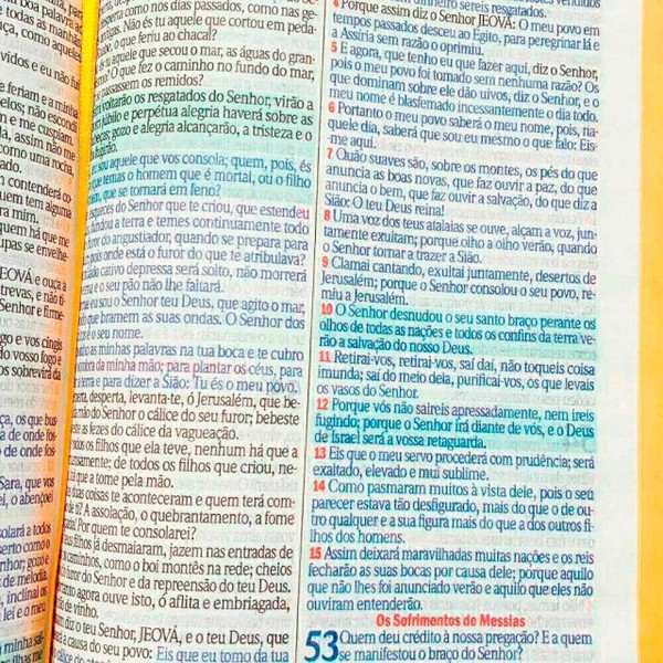 Foto Bíblia ARC Bolsa Com Alça Glitter Prata