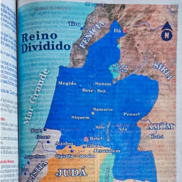 Foto Bíblia ARC Bolsa Com Alça Croco Verniz