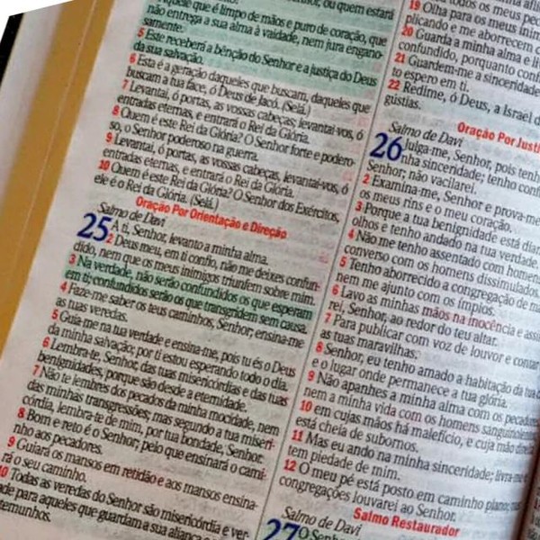 Foto Bíblia ARC Bolsa Com Alça Croco Verniz