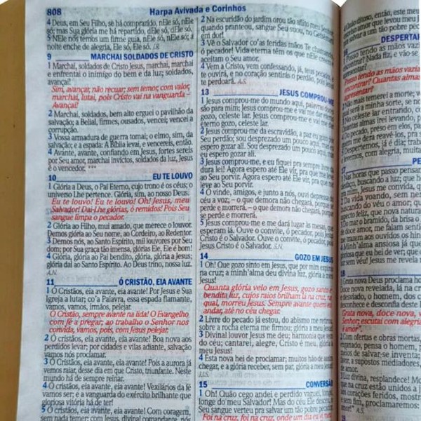 Foto Bíblia ARC Bolsa Com Alça Croco Verniz