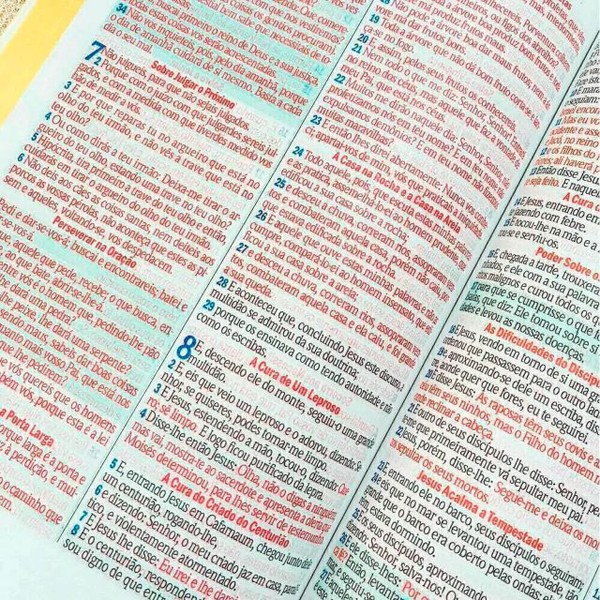 Foto Bíblia ARC Bolsa Com Alça Croco Rosa