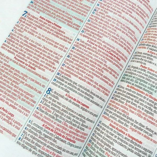 Foto Bíblia ARC Bolsa Com Alça Verniz Rose