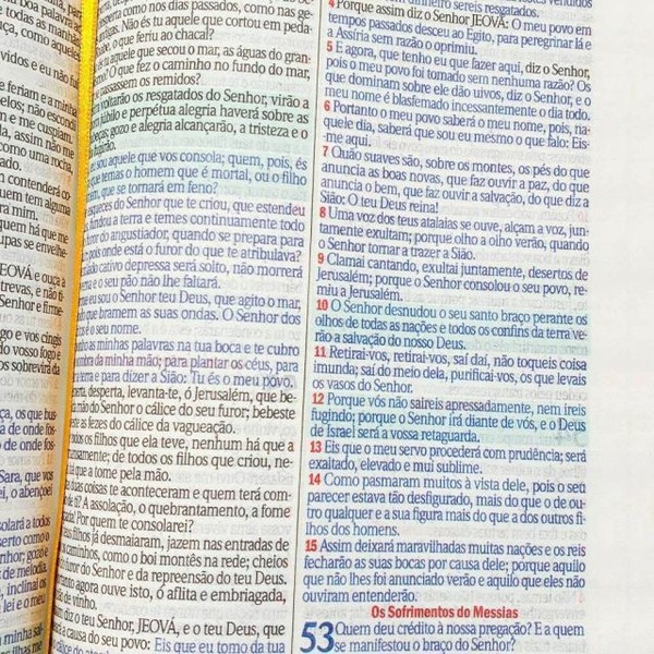 Foto Bíblia ARC Bolsa Com Alça Verniz Rose