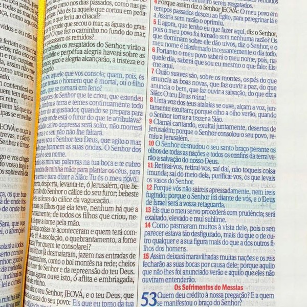 Foto Bíblia ARC Bolsa Com Alça Croco Preta