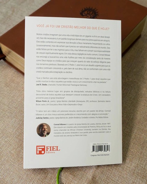 Foto Crescimento Espiritual: Como alcançar a Maturidade em Cristo