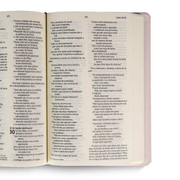 Foto Bíblia NVI Aliança | Palavras de Jesus em Vermelho | Capa Dura