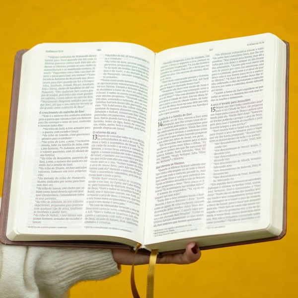 Foto Bíblia NVI Meu bem maior | Palavras de Jesus em Vermelho | Capa Dura