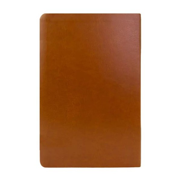 Foto Bíblia Slim NVT - Letra Grande | Filament Marrom