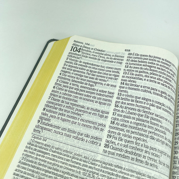 Foto Bíblia de Estudo King James Atualizada | Hipergigante | Capa Dura Gold Black