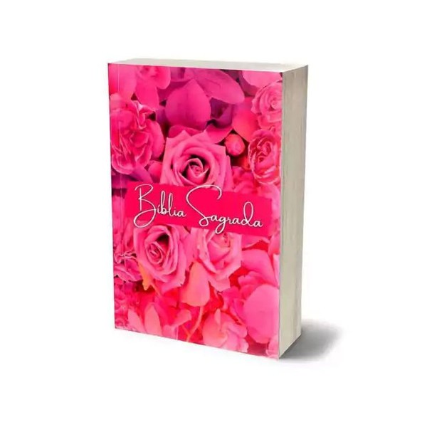Foto Kit Com 62 Bíblias Para Evangelização Pequena - RC Edição de Promessas - Feminina