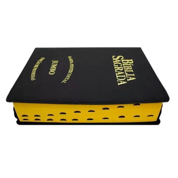 Foto Bíblia Sagrada RC Letra Jumbo Edição De Promessas | Capa Zíper Preta