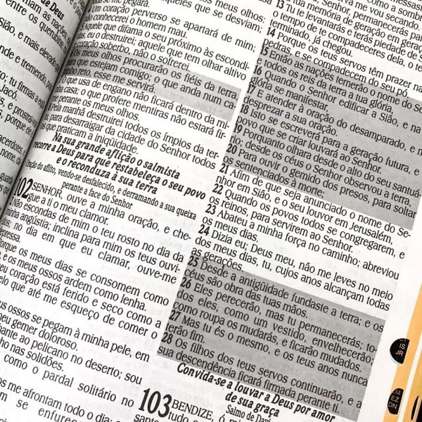 Foto Bíblia Sagrada RC Letra Jumbo Edição De Promessas | Capa Zíper Preta