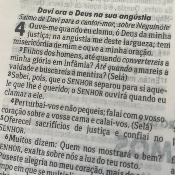 Foto Bíblia Sagrada ARC Slim | Capa Luxo Preta