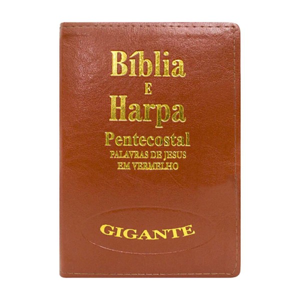Foto Bíblia Sagrada RC com Harpa e Corinhos | Capa Zíper Whisk