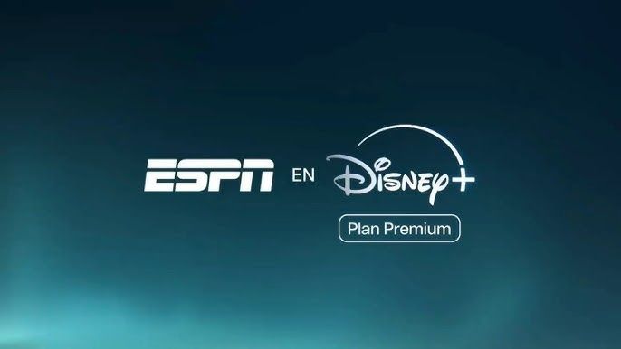 DISNEY STANDAR