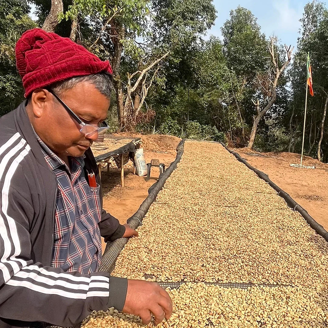 Meghalaya JK Microlot - Image 2