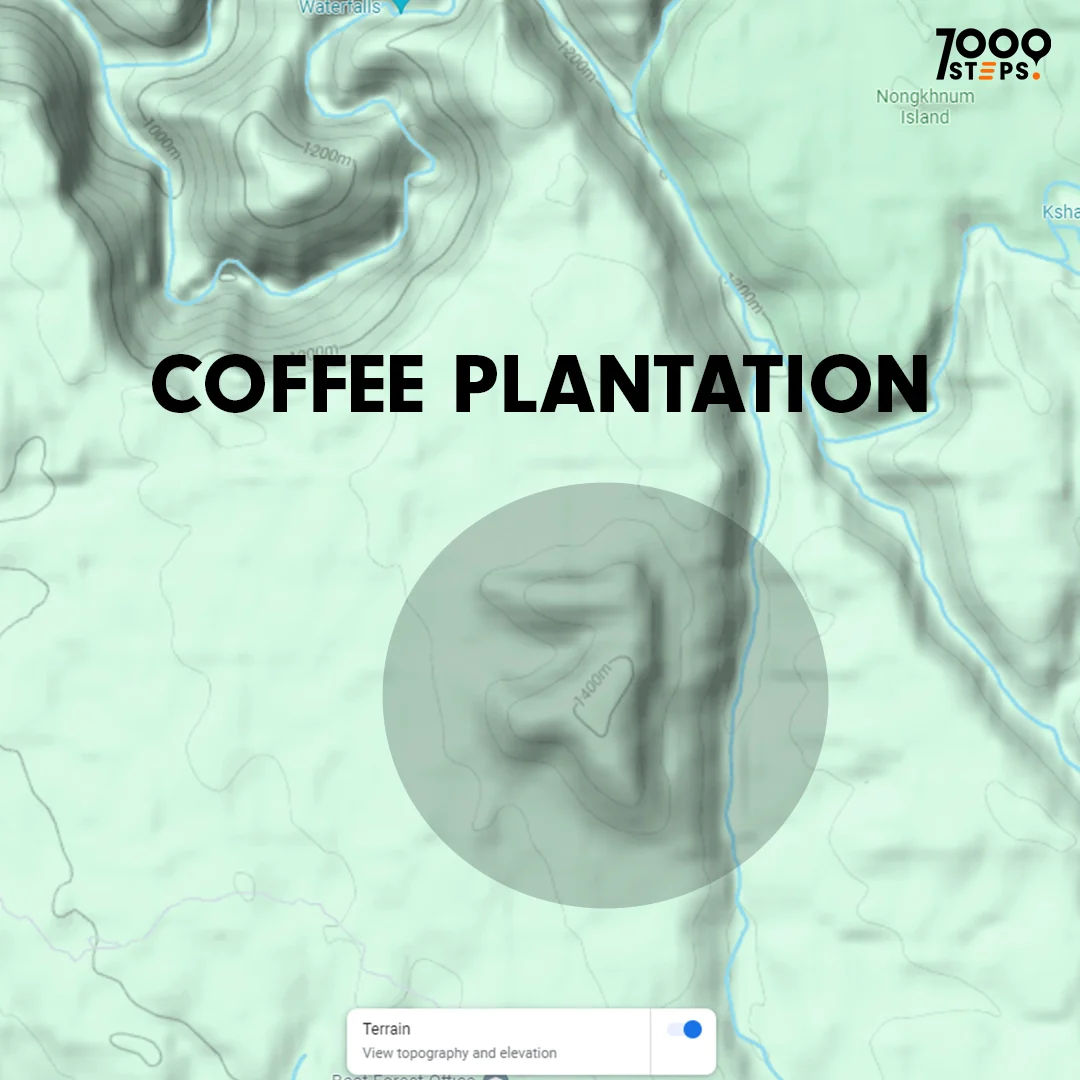 Meghalaya JK Microlot - Image 4