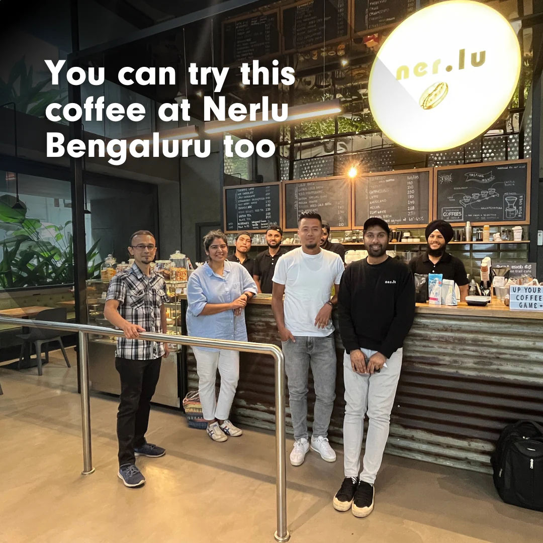 Meghalaya Speciality Arabica Coffee - 250g - Image 5