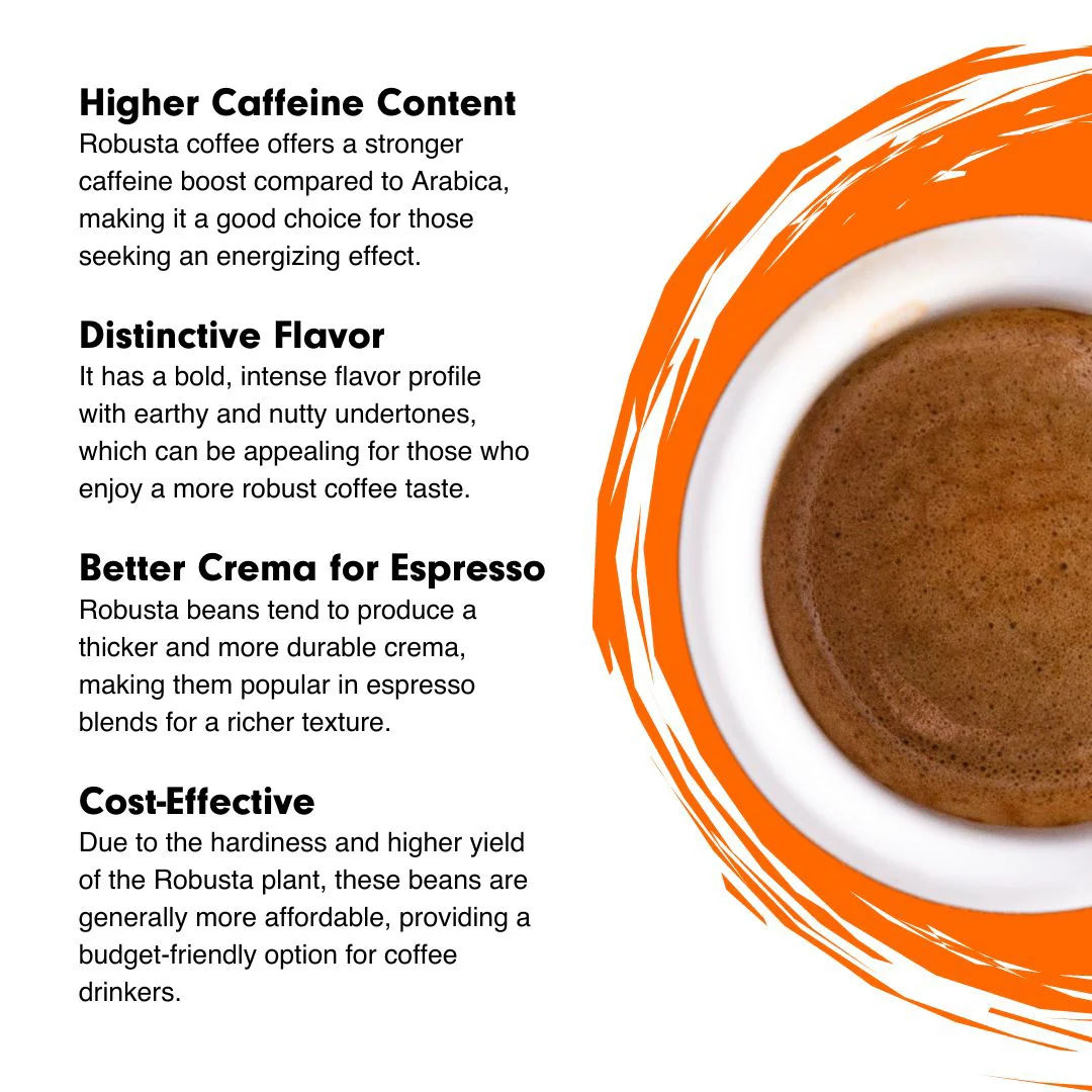 Northeast Wild Robusta - 250g - Image 4