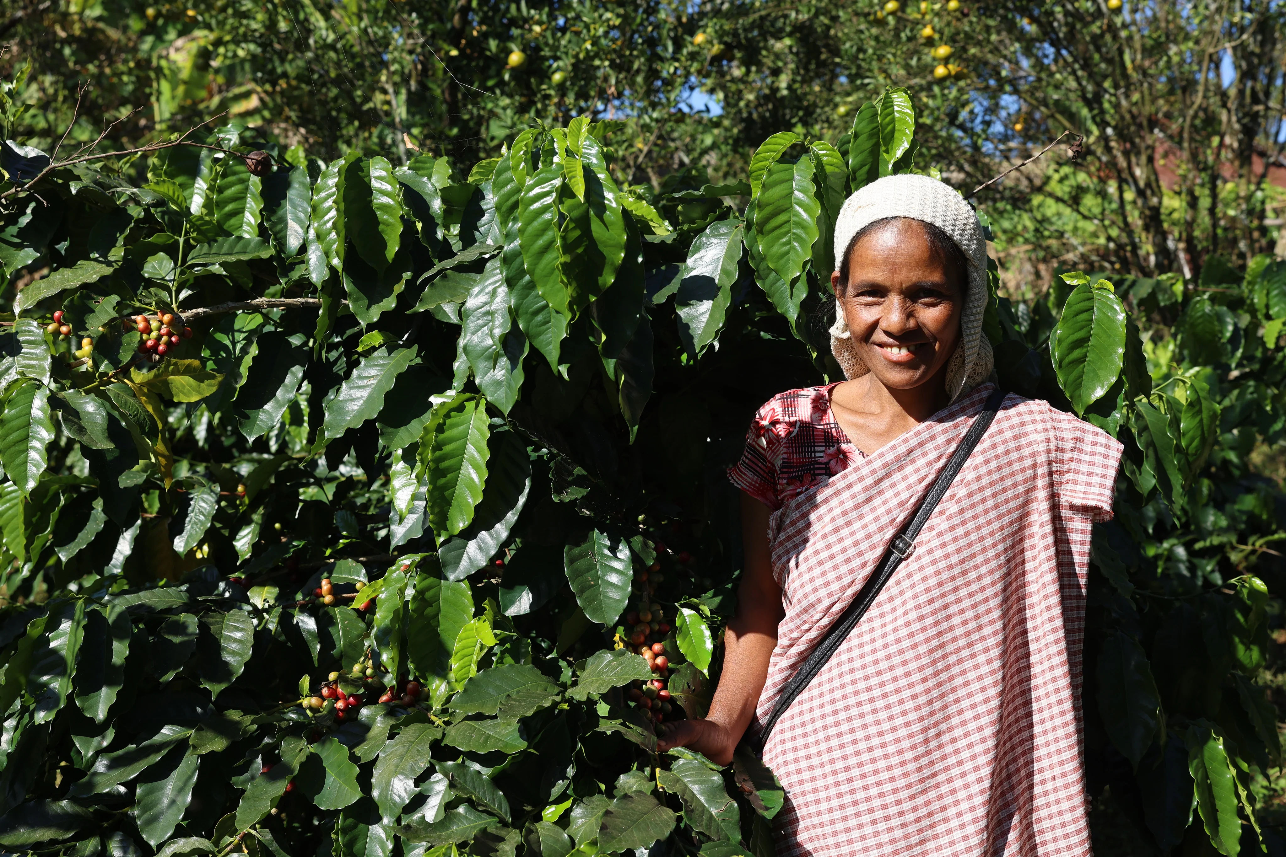 Northeast Wild Robusta - 250g - Image 5