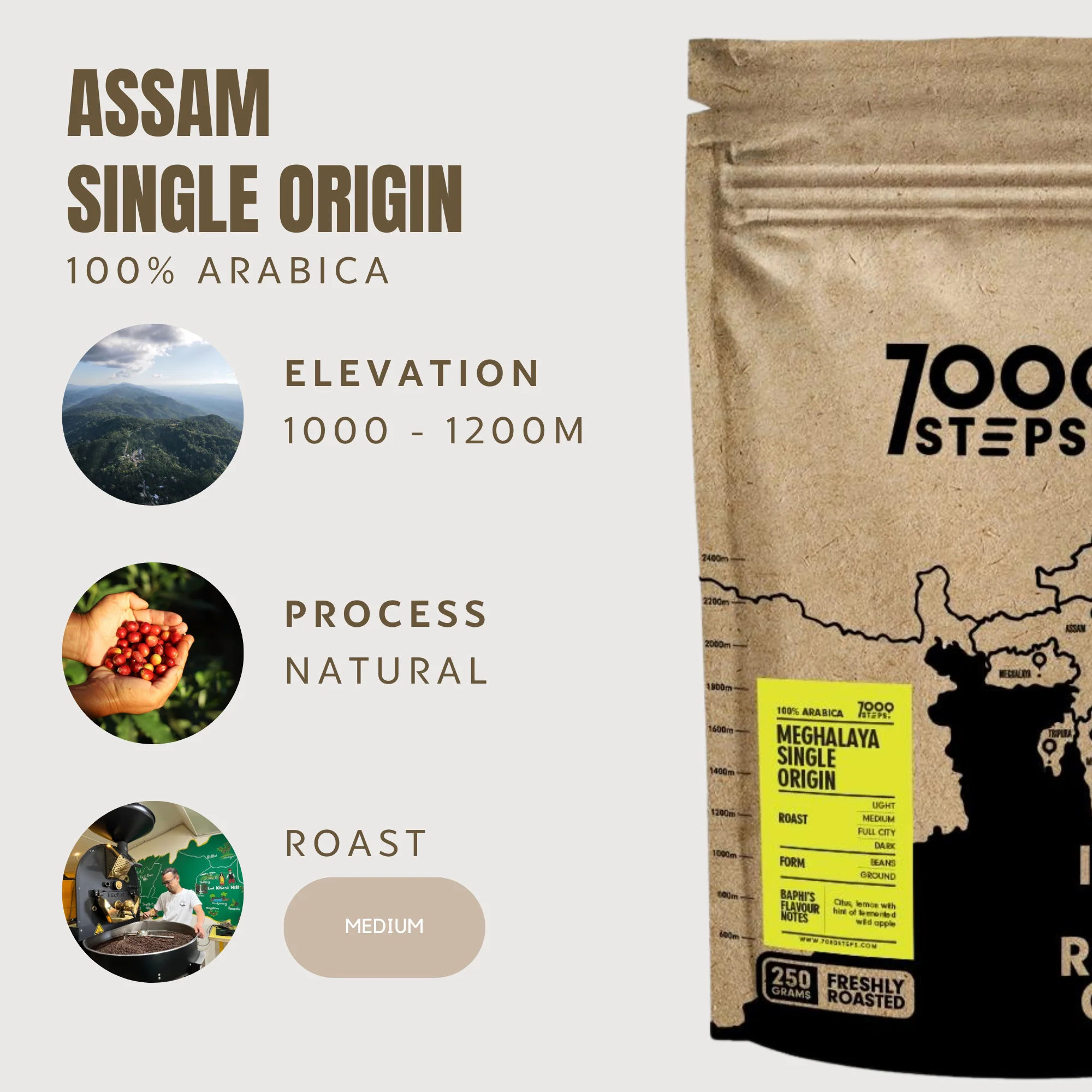 Single Origin Arabica - Meghalaya 250g - Image 3
