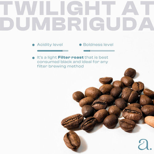 Twilight at Dumbriguda - Image 3
